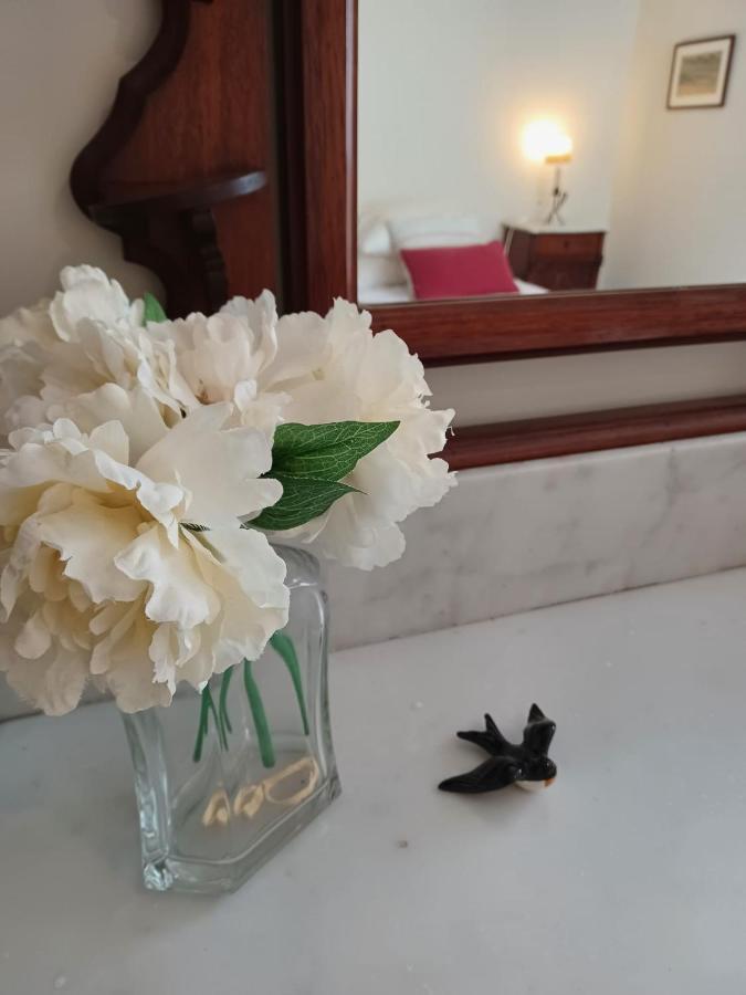 Apartamento Vista Premium Sto Antonio ساو مارتينهو دو بورتو المظهر الخارجي الصورة